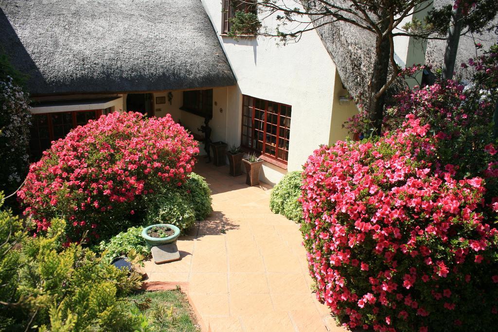 נוטינגהאם רוד Thatchings Bed And Breakfast מראה חיצוני תמונה